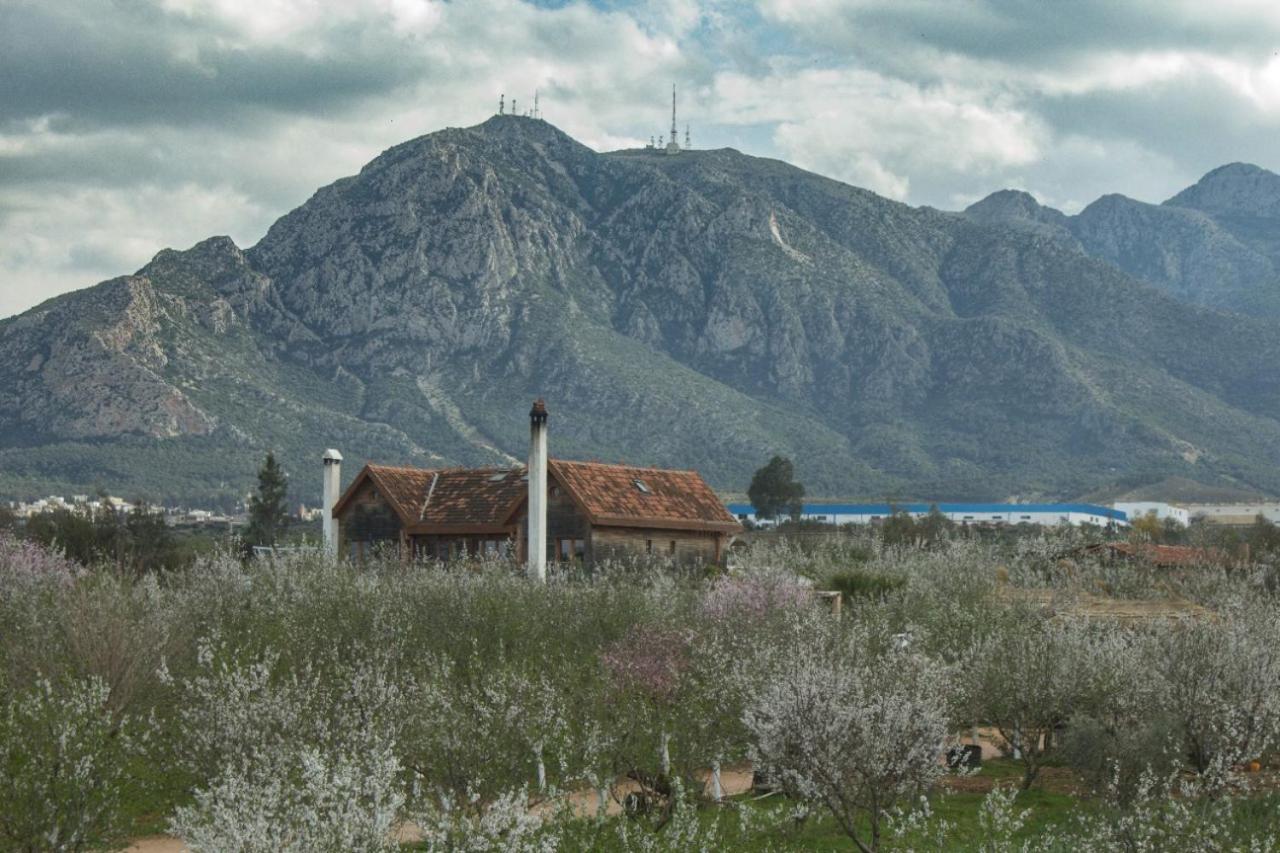 Hotel Dar Zaghouan Esterno foto